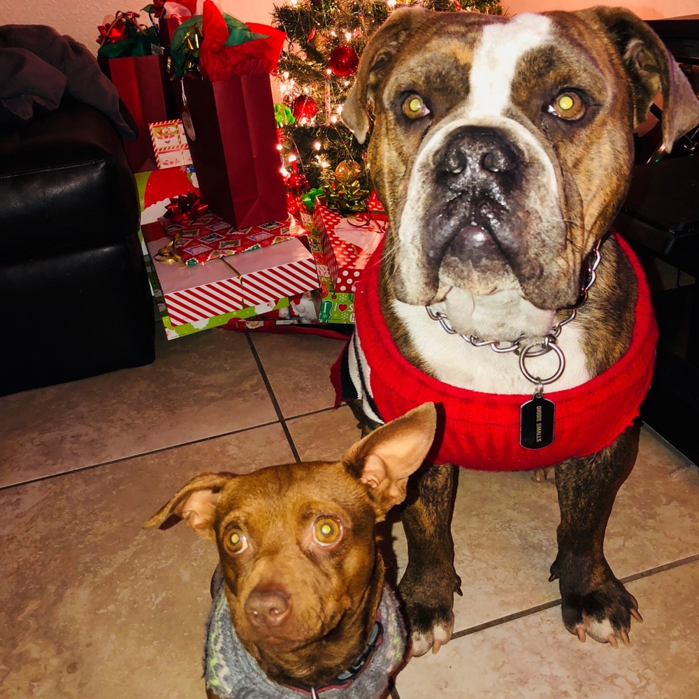 ‼️Let’s chat here 💋😉‼️